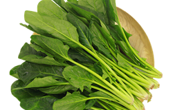 校园疫情防控新要求：不再开展全员核酸