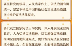 《习近平著作选读》学习笔记：宪法，治国安邦的总章程