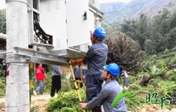 电力赋能|昭平县大塔山高山茶叶基地通电啦！