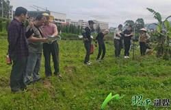 河东污水处理厂项目征拆工作如火如荼