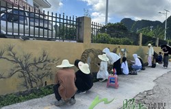 壁画彩绘焕发乡村新彩