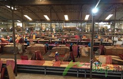 【湾区之窗】携手湾企 互利共赢