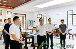 自治区人大常委会调研组到昭平县调研