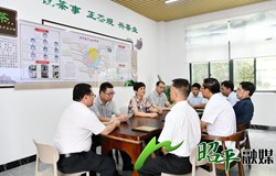 昭平县人大常委会开展“关注茶质量安全，助力茶产业高质量发展”主题活动