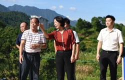 邹红英调研项目建设推进情况