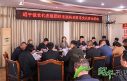 邹红英到昭平镇开展2024年党代表组团驻室接待和联系党员群众活动