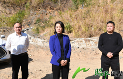 邹红英深入富罗镇开展生态环境保护有关问题整改工作调研