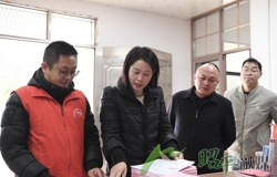 邹红英深入樟木林镇、凤凰乡、五将镇、木格乡调研巩固拓展脱贫攻坚成果同乡村振兴有效衔接等工作