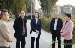 邹红英到黄姚镇调研2025年新型城镇化建设项目谋划工作