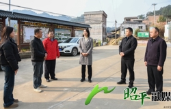 邹红英到富罗镇调研