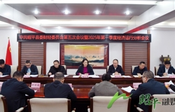 昭平县委财经委员会第五次会议暨2025年第一季度经济运行分析会议召开