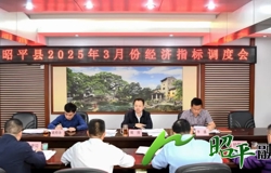 昭平县召开2025年3月份经济指标调度会