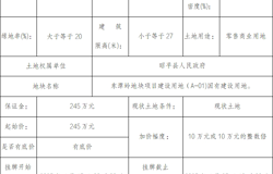 昭平县自然资源局国有建设用地使用权挂牌出让公告 