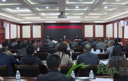 昭平县召开一季度经济运行分析培训会