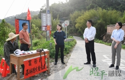 邹红英调研督导森林防灭火工作