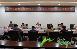 昭平县召开黄姚东潭岭六芥·云半间茶文旅融合项目推进会