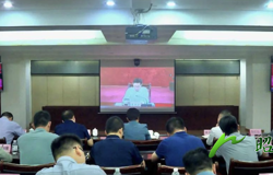 昭平县组织收听收看贺州市深入打好污染防治攻坚战暨生态环保督察整改工作推进视频会议