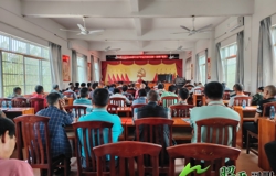 科技赋能 茶香致远 北陀镇举办茶叶丰产栽培技术培训班