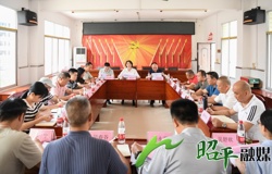 邹红英到昭平镇调研指导2026年村（社区）“两委”换届准备工作并开展软弱涣散（后进）村党组织排查