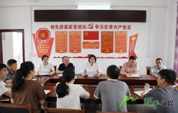 邹红英到凤凰乡开展重点信访事项提级包案化解工作并调研督导软弱涣散村党组织整顿提升工作