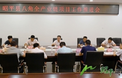 昭平县召开八角全产业链项目工作推进会