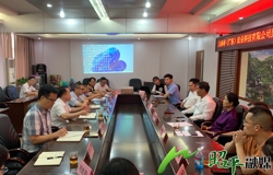 政企会谈助推昭平八角全产业链项目落地