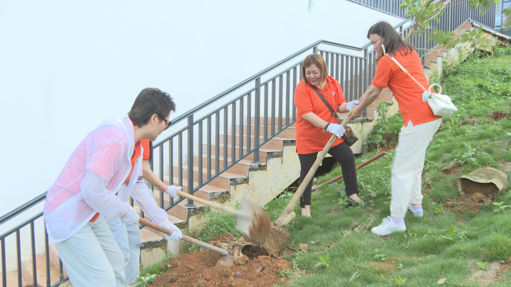 Still0523_00006 Still0523_00006