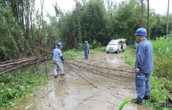昭平供电公司严阵以待应对汛期 全力保障电网安全稳定运行