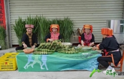 【网络中国节·端午】非遗美食黄茅粽：瑶乡深处的粽香情