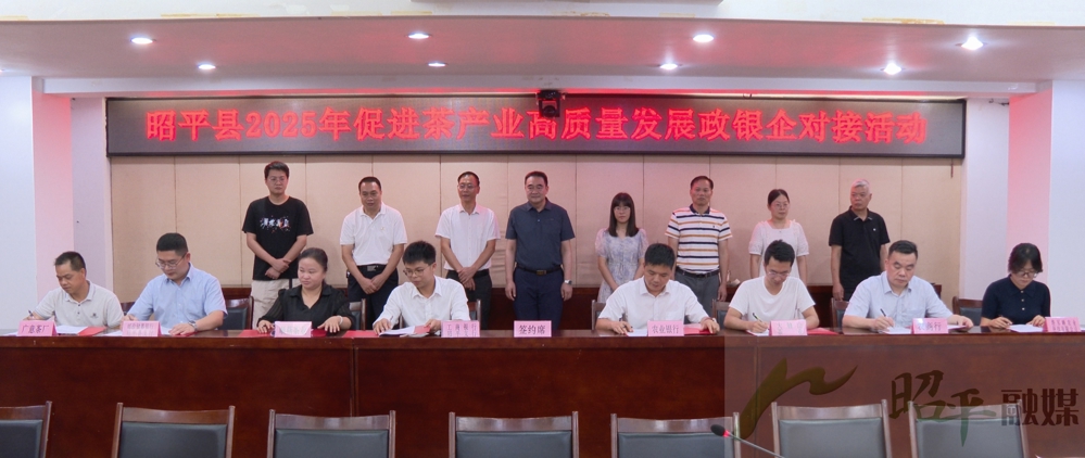 Still0606_00005_副本