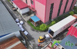 20吨昭平茶首柜出口东南亚 开启国际市场新篇章