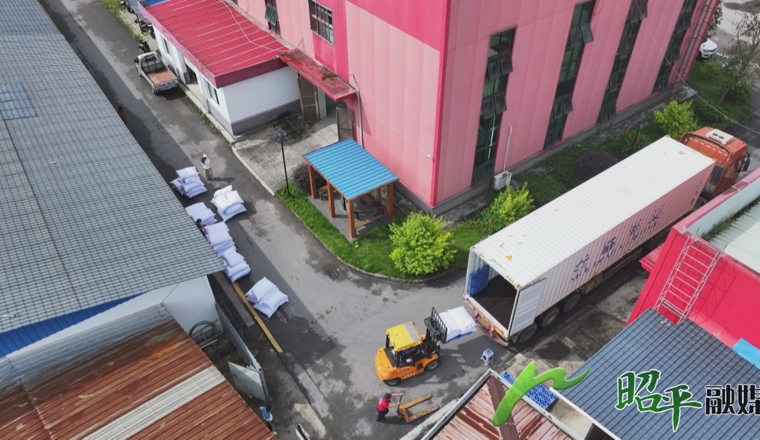 20吨昭平茶首柜出口东南亚 开启国际市场新篇章