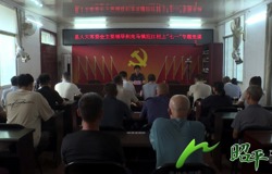 吴伟红到走马镇庇江村讲授“七一”专题党课