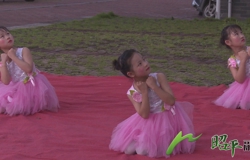 光影传廉音 廉心系万家——昭平县举办“清风临贺 廉润万家”清廉家风主题电影公映活动