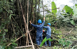 昭平供电公司连夜抢修受损电网
