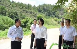 邹红英深入五将镇调研