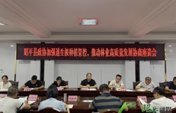 加强速生桉种植管控，推动林业高质量发展