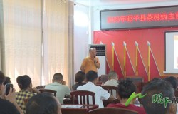 【乡村振兴看昭平】粤桂协作“科技”赋能 助力昭平茶产业提质升级