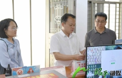 周强深入乡镇调研村“两委”换届准备工作