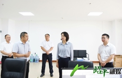 邹红英到部分县直部门开展调研