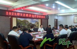 昭平县召开2025年8月份经济运行分析会
