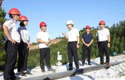 ​彭代元到昭平县调研督导涉重金属环境安全隐患排查整治工作