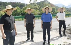 邹红英：抢抓时间节点 强化协同联动 提升新型城镇化建设质效