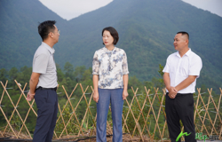 邹红英深入乡镇调研督导当前重点工作