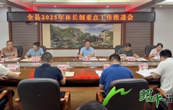 昭平县召开2025年林长制重点工作推进会