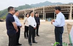 李杰云调研招商引资落地项目推进情况