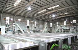 【辉煌“十四五”昭平展新颜】科技赋能全产业链 茶乡振兴谱新篇