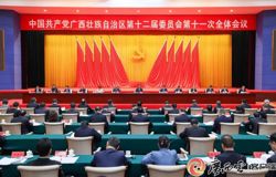 中国共产党广西壮族自治区第十二届委员会第十一次全体会议公报