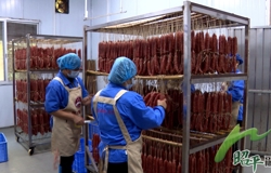 广西昭平：“凤大嫂”小作坊蝶变食品企业跑出产业加速度