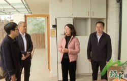 深耕文旅融合赛道 助力乡村振兴发展